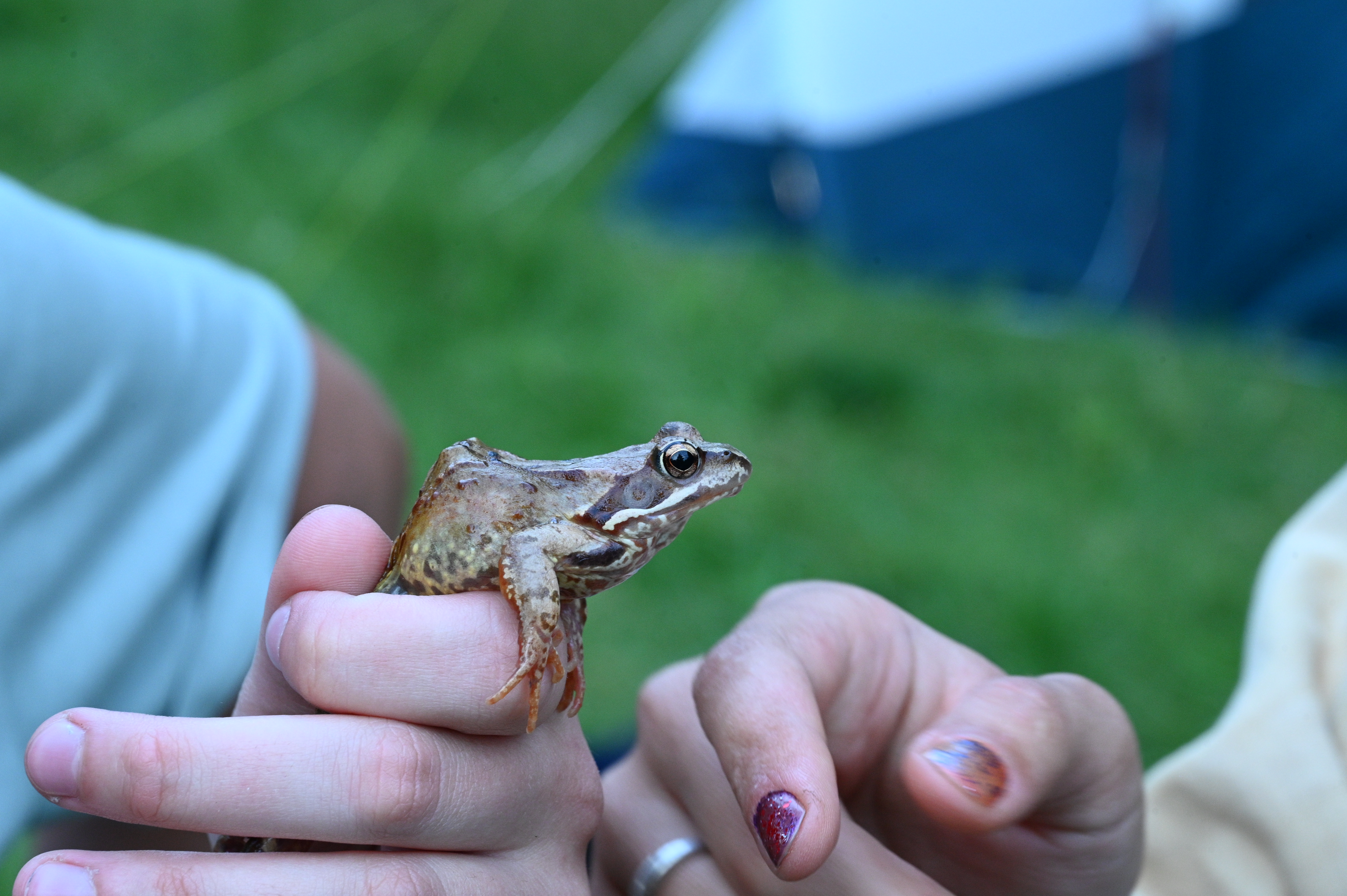 2025/07/09-14 - trip/DSC_0059.JPG